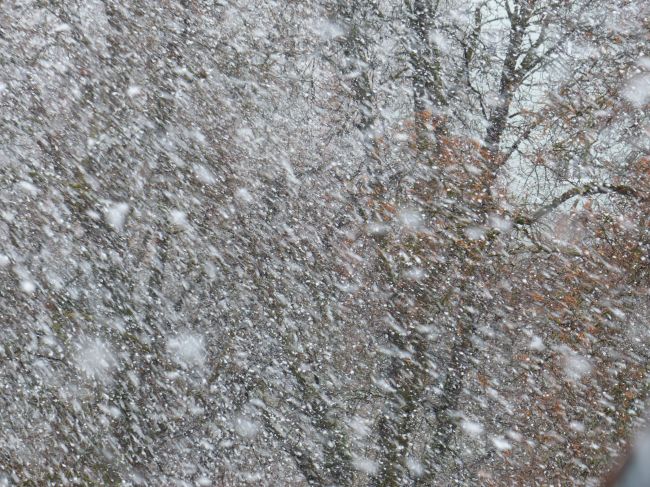 В Пермском крае всю неделю будут идти обильные снегопады