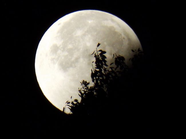 Жители Пермского края смогут наблюдать полутеневое лунное затмение