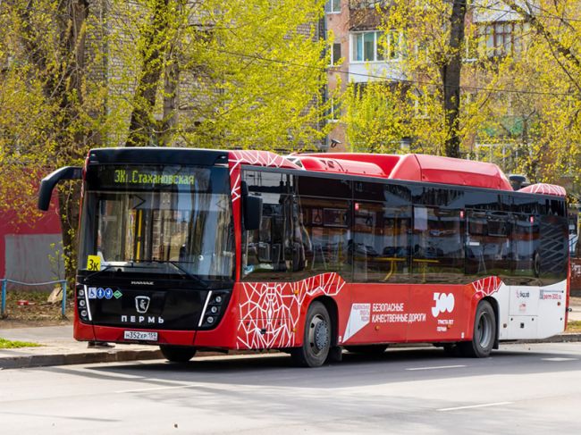 В Перми в День города проезд в общественном транспорте станет бесплатным