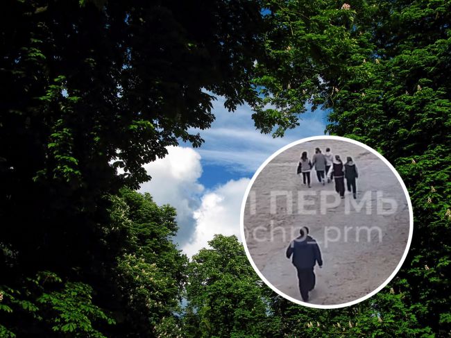 Неизвестный мужчина преследовал пятерых девочек в Балатовском парке
