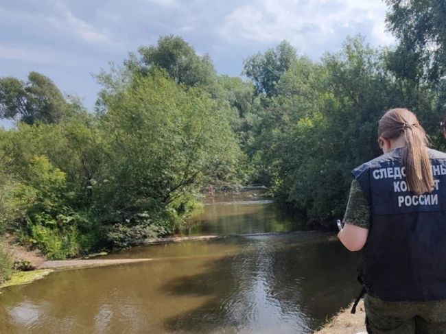 В Пермском крае в реке утонули два мальчика