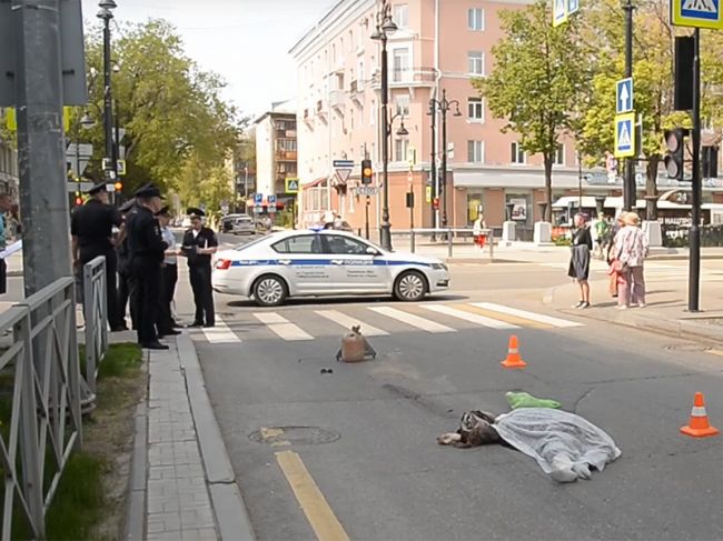 В Перми автобус насмерть сбил женщину