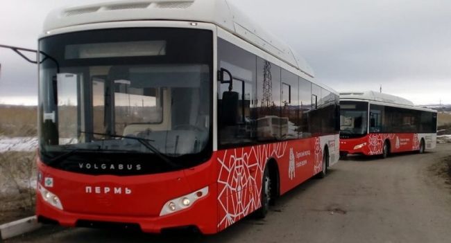 В Перми 9 мая проезд в общественном транспорте сделают бесплатным