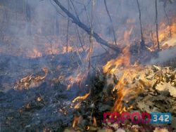 В Перми начинает действовать противопожарный режим