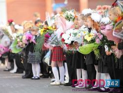 Кто на обучение – пишем заявление