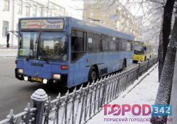Номера автобусов остались старые, а их маршруты стали новыми