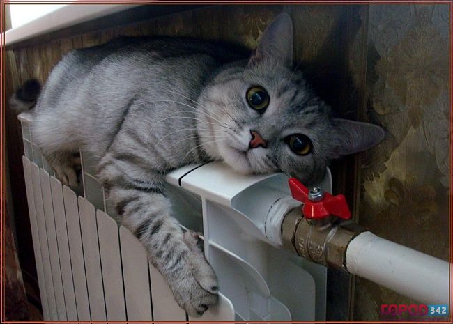 Трубы похолодеют