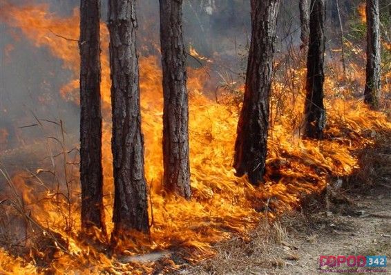 В Гайнском районе пожар и режим ЧС
