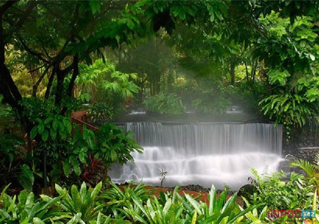 Тропические леса Коста-Рики