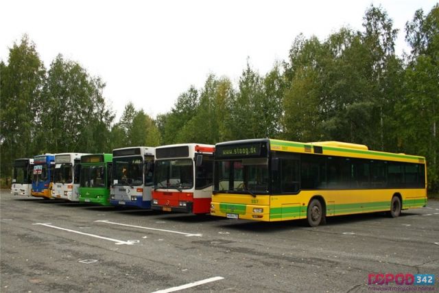 На пермские дороги вышли 119 новых автобусов