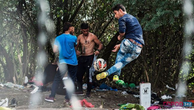 Мигранты атакуют Хорватию