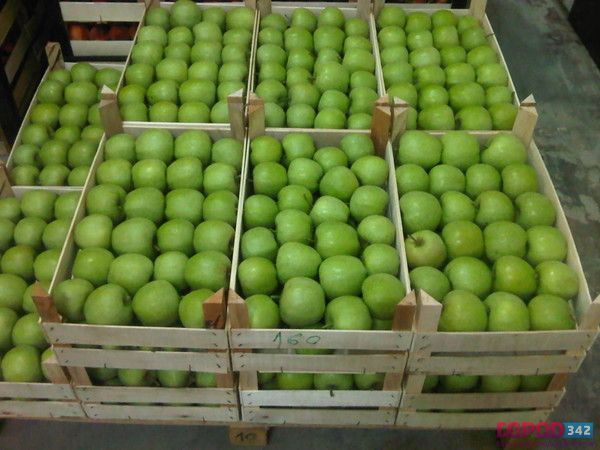 2,5 тонны подозрительных яблок уничтожили в Перми