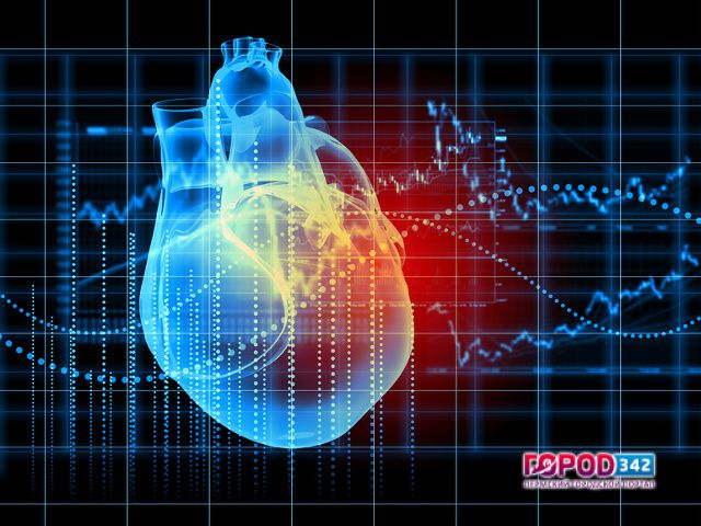 Кардиологи выявили зависимость между размером талии и здоровьем сердца