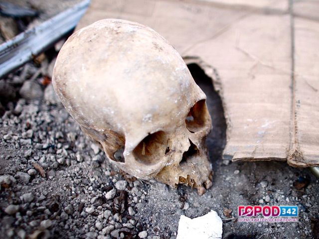 В Чайковском при прокладке газопровода обнаружили человеческие останки