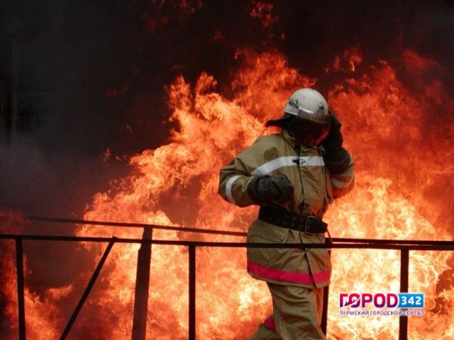 Детская шалость стала причиной пожара, в котором сгорели дом, конюшня и гараж