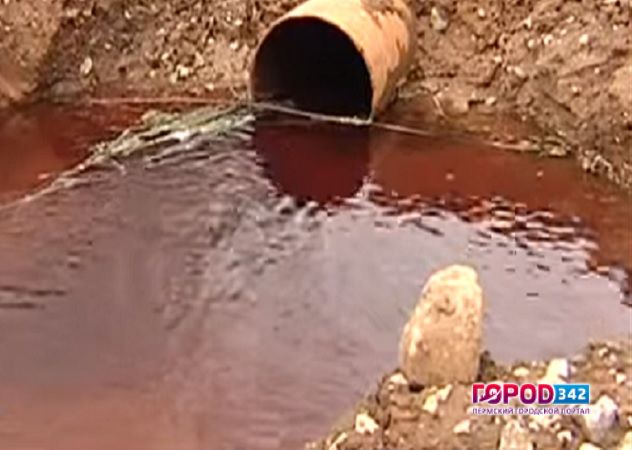 Чиновники Перми оштрафованы за загрязнение Андроновских прудов