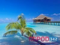 Мальдивы - прекрасное место для медовых месяцев
