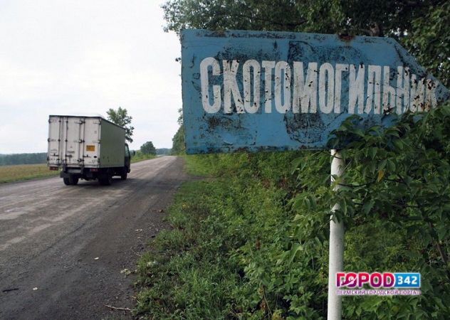 В Чайковском районе Пермского края есть угроза распространения сибирской язвы