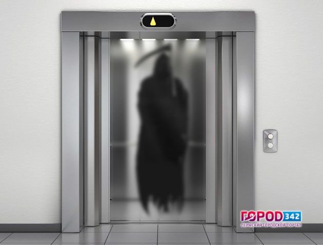 «Лифт – убийца». В Перми неисправный лифт свернул голову собаке