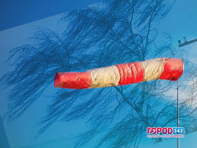 Сегодня в Прикамье ожидается метель и сильный ветер с порывами до 25 м/с