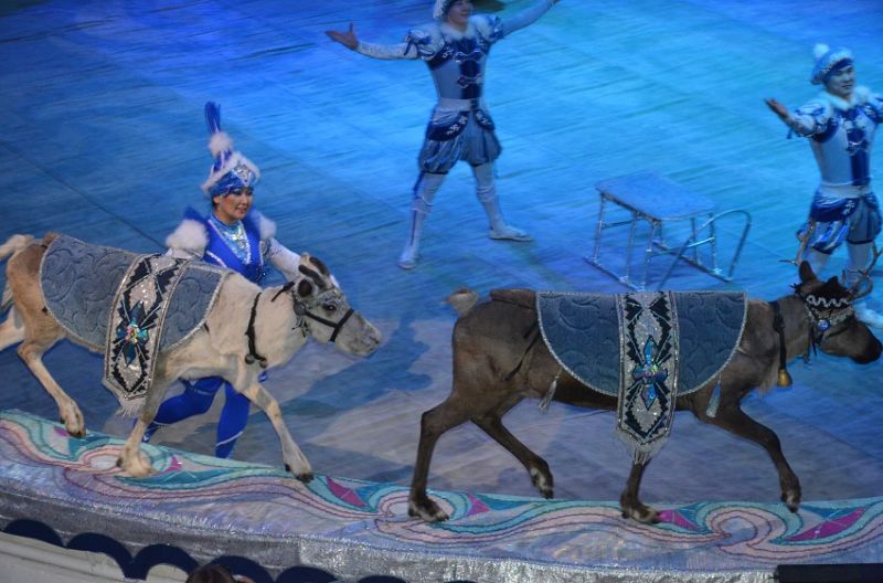 Бриллиантовый цирк России — гастроли в Пермском цирке с 27 октября по 25 ноября