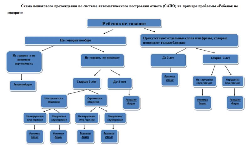 В Перми разработана «Система автоматизированного построения ответа» по вопросу подбора технологии развития и адаптации ребенка с ООП