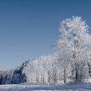 В Пермском крае в выходные похолодает до −21°