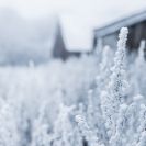 В выходные в Пермском крае ударят морозы до -30°