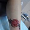 Mix-Styles Tattoo